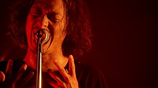 「THE BACK HORN、新SG収録のライブ映像「太陽の花」公開」