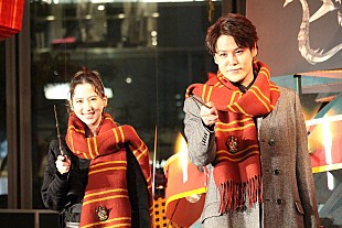 「宮野真守＆河北麻友子「深い愛情を感じます」　“ファンタビ第３弾”の邦題＆公開日決定に興奮」