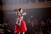 LiSA「＜ライブレポート＞LiSA、10周年の武道館公演で唱えた「最高に“今日もいい日だっ。”」」1枚目/12