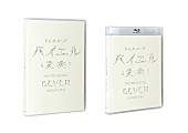 ドレスコーズ「」4枚目/6