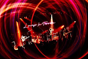 「LAMP IN TERRENという光が照らした未来　ワンマンライブ【A Dream Of Dreams】開催　」