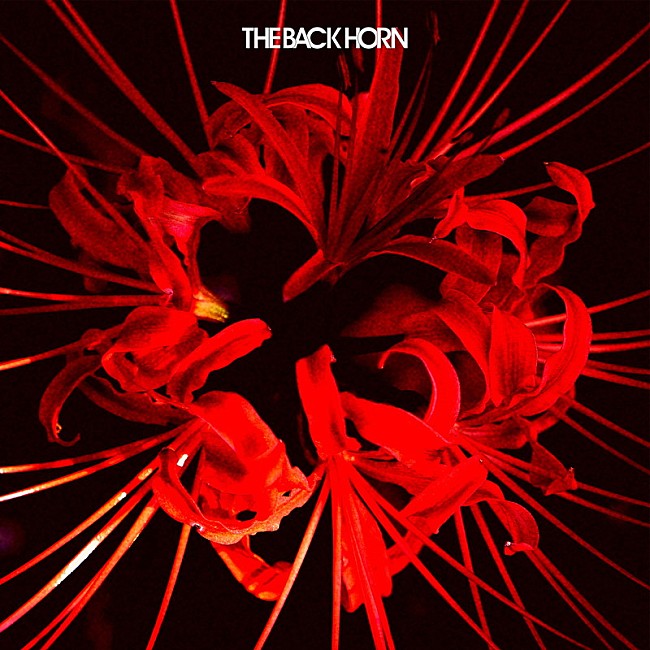 THE BACK HORN「配信シングル「ヒガンバナ」」3枚目/3