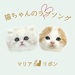 「2匹の猫ユニットが「猫ちゃんのラブソング」配信リリース、2022年2月22日“スーパー猫の日”にMV公開」