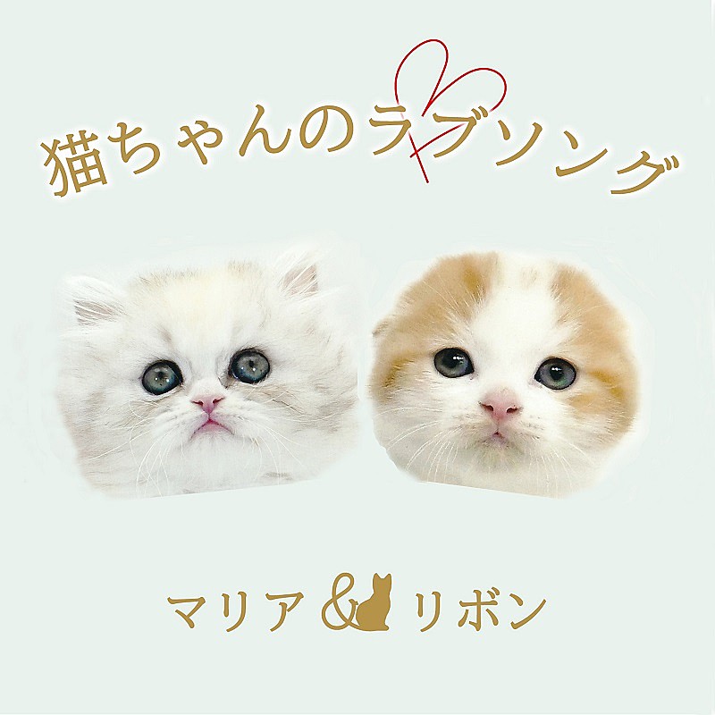 2匹の猫ユニットが「猫ちゃんのラブソング」配信リリース、2022年2月22日“スーパー猫の日”にMV公開