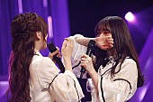 乃木坂46「」4枚目/14