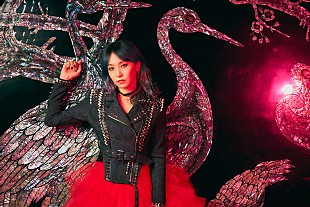 「LiSAのインタビューと連載を1冊にまとめた『10th Anniversary Complete Book LiS“A”ni！』3/30に発売決定」