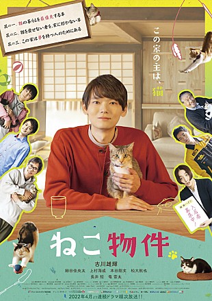 「SPiCYSOL、古川雄輝主演ドラマ『ねこ物件』主題歌＆挿入歌を担当」
