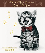 「猫界の名盤『～ニャンコが歌うクラシック～ニャンクラ』サブスク解禁」1枚目/1