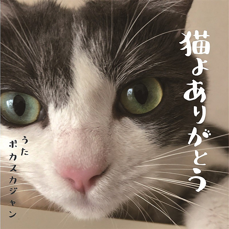 ポカスカジャンが歌う 猫よありがとう 22年2月22日 スーパー猫の日 に配信リリース Daily News Billboard Japan