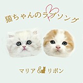 「2匹の猫ユニットによる「猫ちゃんのラブソング」MV公開＆「猫の日」特番も配信」1枚目/1