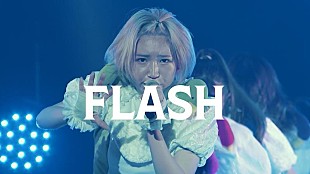 「豆柴の大群、「FLASH」ライブ映像公開」