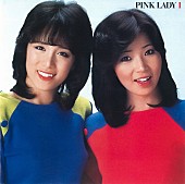 ピンク・レディー「ピンク・レディー解散直前の“銀箱 LP-BOX”『PINK LADY』配信スタート、当時の新曲11曲は初配信」1枚目/4