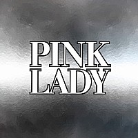 ピンク・レディー解散直前の“銀箱 LP-BOX”『PINK LADY』配信スタート