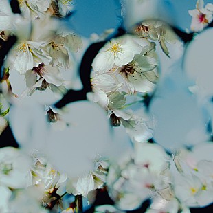 「【ビルボード HOT BUZZ SONG】星野源「喜劇」が首位　BIGBANG「Still Life」が2位に続く」