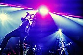 ポルノグラフィティ「ポルノグラフィティ、新AL『暁』にライブ未演奏曲のセッション映像収録　全国ツアーの詳細も発表」1枚目/1