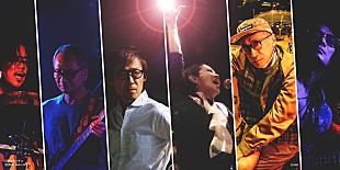 「レベッカ、ツアー【Billboard Live 15th Anniversary Premium Live】開催決定」