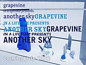 GRAPEVINE「」2枚目/3