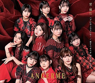 「【深ヨミ】過去2年で自己最高を更新し首位獲得　アンジュルムのシングル販売動向を調査　」