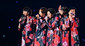 嵐「嵐、ライブ・フィルムを4K ULTRA HD Blu-ray＆Blu-rayでリリース」1枚目/1