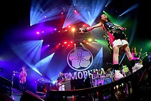 「NEMOPHILA、対バンツアー最終公演のライブレポートが到着」