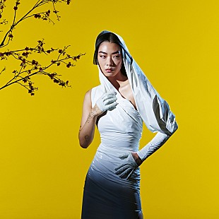 「リナ・サワヤマ、母親へ向けた新曲「キャッチ・ミー・イン・ジ・エア」公開」