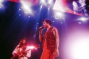 「ハリー・スタイルズ、自身のライブでのファンによるサプライズ・プロポーズを手助け」