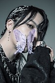 武瑠「武瑠、15周年フェス限定バンドメンバーにMOMIKEN(SPYAIR)、yuji、前田遊野、coHzyら決定」1枚目/6