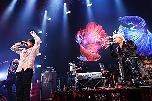 「＜ライヴレポート＞HYDE×CVLTE、絆を深めた対バンがZepp Sapporoで開催「残りの人生をかけ抜けたいと思います」」