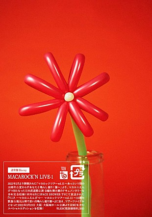 「マカロニえんぴつ、豪華ボックス仕様のライブ映像集リリースへ」