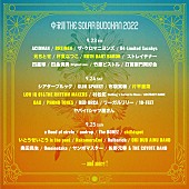 元ちとせ「【中津川 THE SOLAR BUDOKAN 2022】第3弾で元ちとせ、OAU、いとうせいこう is the poetら」1枚目/1