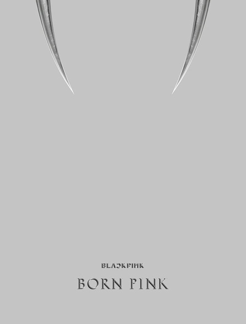 BLACKPINK「BLACKPINK アルバム『BORN PINK』BOX SET「GRAY ver.」」5枚目/5