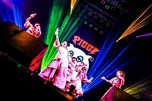 「PIGGS、メジャー1stシングル「負けんなBABY」リリースを発表」