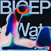 「バイセップ、新曲「Water」を【グラストンベリー】でのライブ映像とともに解禁」1枚目/2