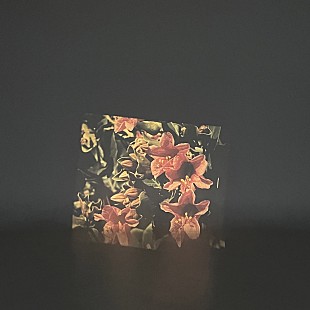 「jizue、新EP『gnome』を発表／Style KYOTO管弦楽団を交えたオーケストラ公演＆ツアーも決定」