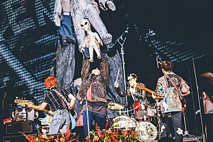 「go!go!vanillas、｢サイシンサイコウ」ライブ映像公開」