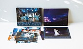 櫻坂46「櫻坂46 LIVE Blu-ray＆DVD『櫻坂46 RISA WATANABE GRADUATION CONCERT』」2枚目/6