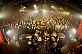 NEMOPHILA「NEMOPHILA quartette、一夜限りのインストライブを下北沢シャングリラで開催」1枚目/9