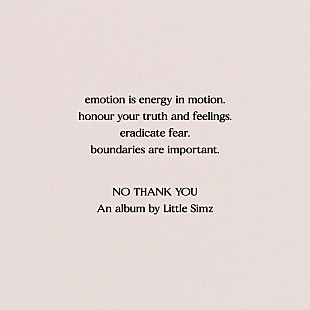 「リトル・シムズ、ニューAL『NO THANK YOU』をリリースへ」