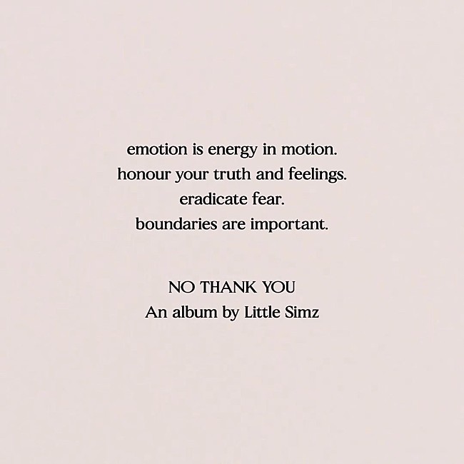 リトル・シムズ「リトル・シムズ、ニューAL『NO THANK YOU』をリリースへ」1枚目/1