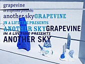 GRAPEVINE「」2枚目/2