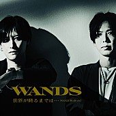 WANDS「WANDS、「世界が終るまでは…」第5期バージョンのMVを公開」1枚目/1