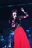 「Photo by 平野タカシ」4枚目/9