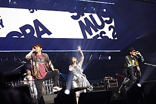 「＜ライブレポート＞PENGUIN RESEARCHの盛大な幕開け／三位一体で魅せたTrySail／謙虚なベテランFLOWの熱演　【SACRA MUSIC FES.2022】前編」
