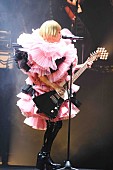 YUKI「YUKI「今日はスーパースターを見に来たんでしょ？」、日本武道館でソロデビュー20周年記念ツアー千秋楽」1枚目/4