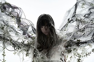 「Aimer、新曲がJRAブランドCMソングに＆アリーナツアーが決定」
