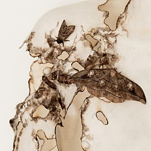 「Kroi、『ABEMA Prime』1月度番組EDテーマ決定」