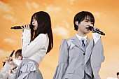 乃木坂46「」2枚目/17