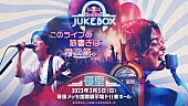 優里「【Red Bull Jukebox 2023】」2枚目/3