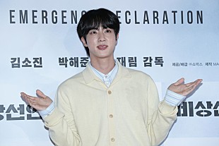 「BTSのJIN、ファンに向けたバレンタインデーのメッセージをマカロンにデコレーション」