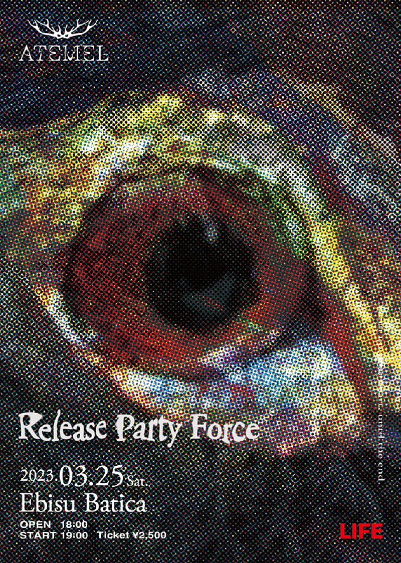 「ATEMEL【Force vol.1】」3枚目/4